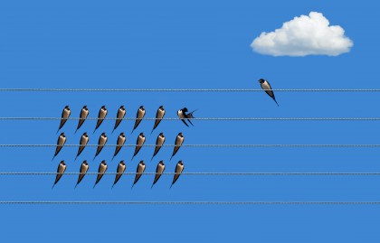 Wer macht mit bei "Carmina Burana"